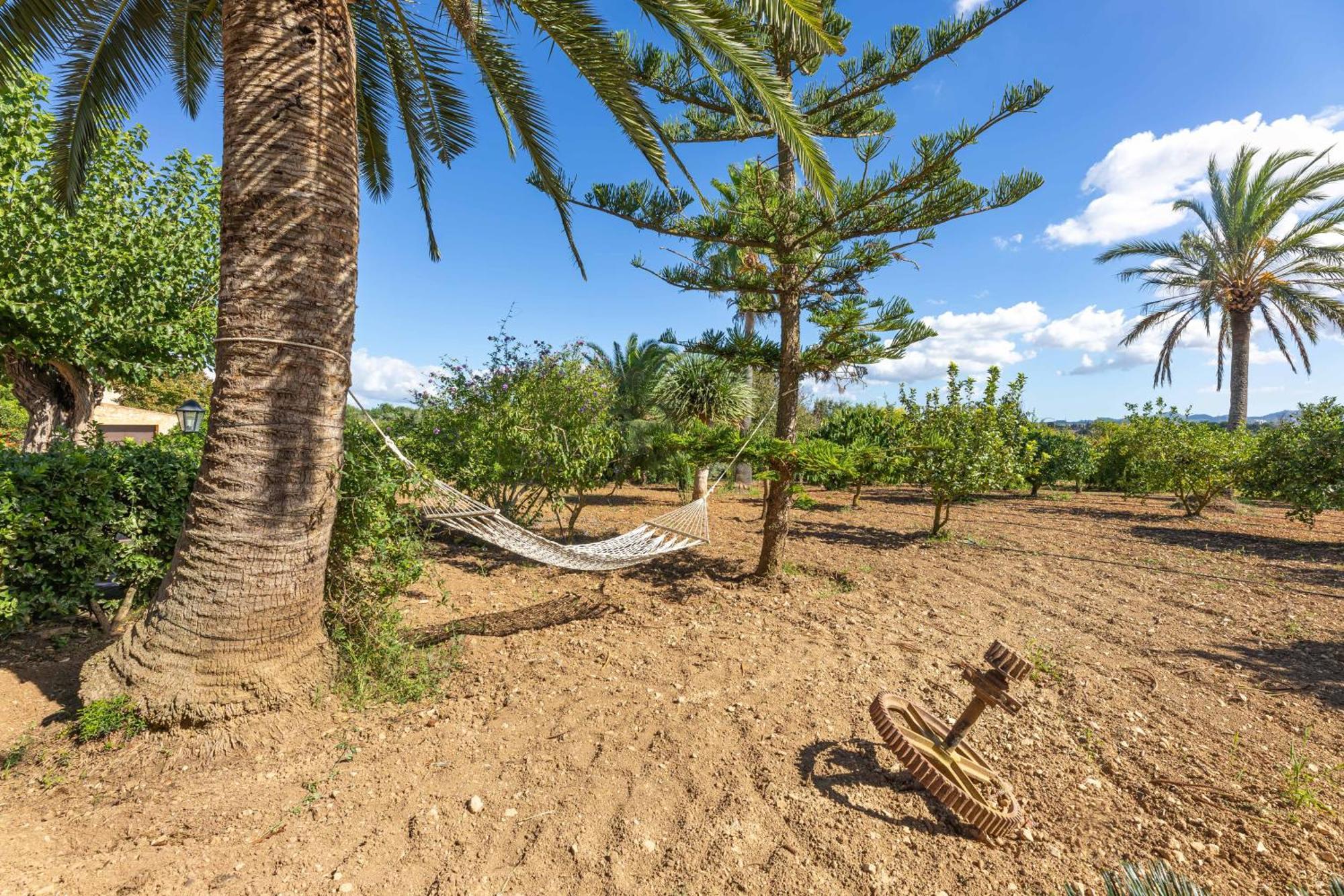 Finca Son Ramon Llull Villa Manacor  Exterior photo